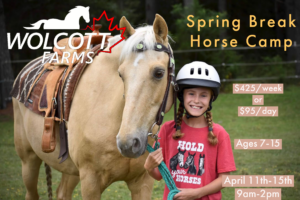 Reserve a spot at Spring Break Horse Camp